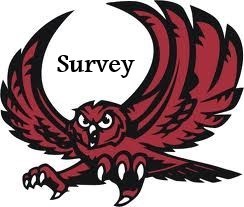 Owls Survey