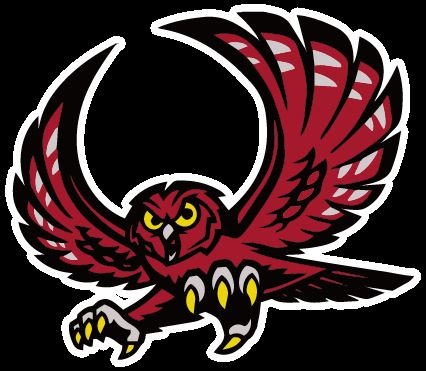 Red Owl Black Background 