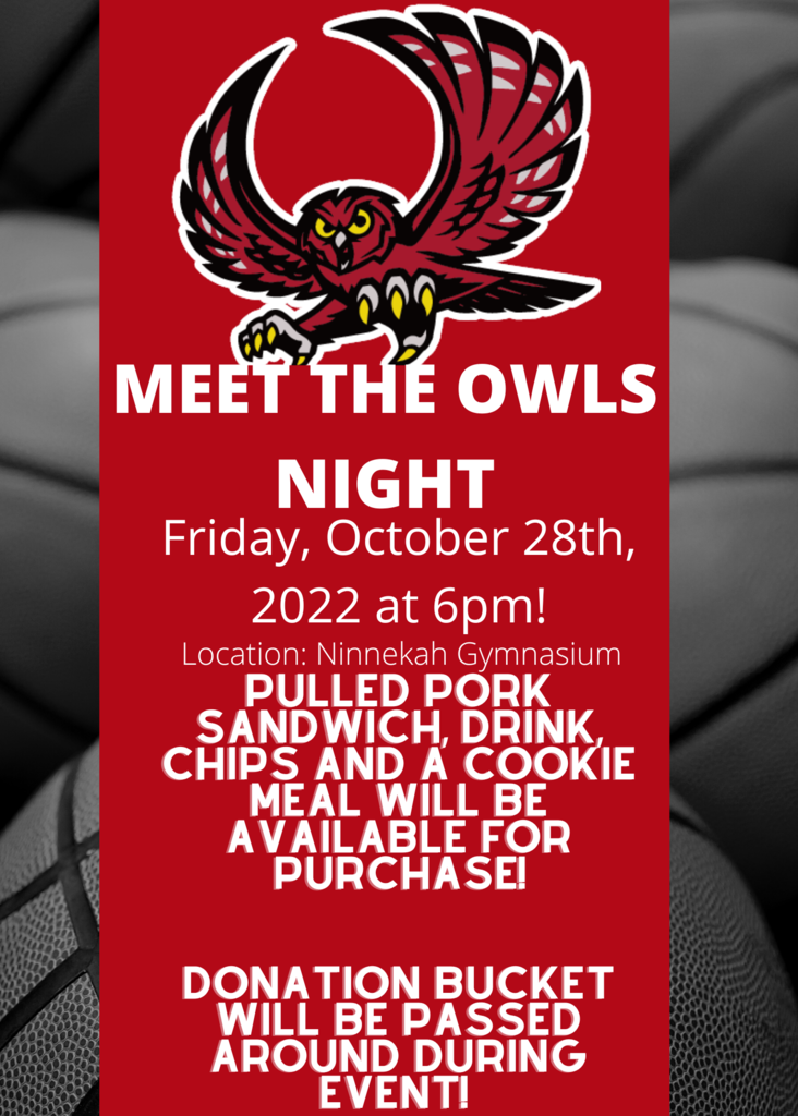 Meet the Owls flyer 2022/10/28