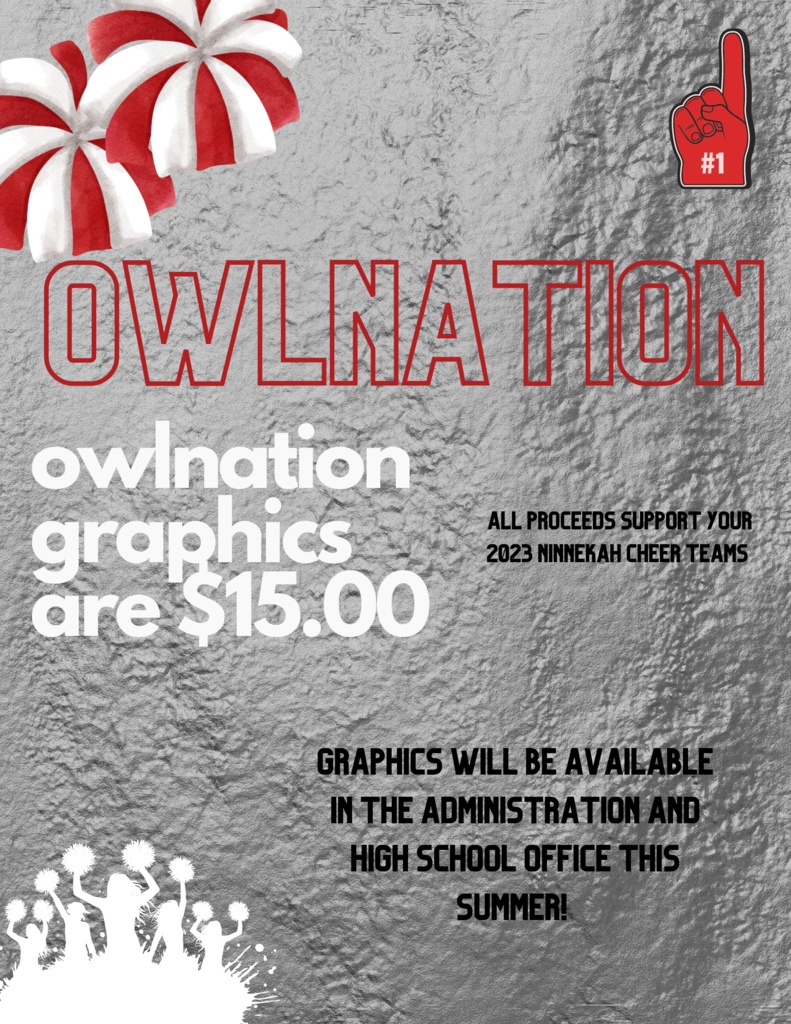 owlnation graphics